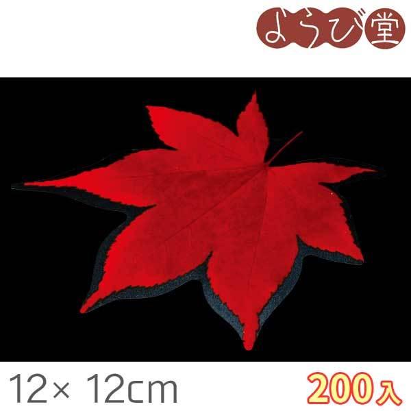 ^ NAV[g Ԃ݂ 200 12x12cm