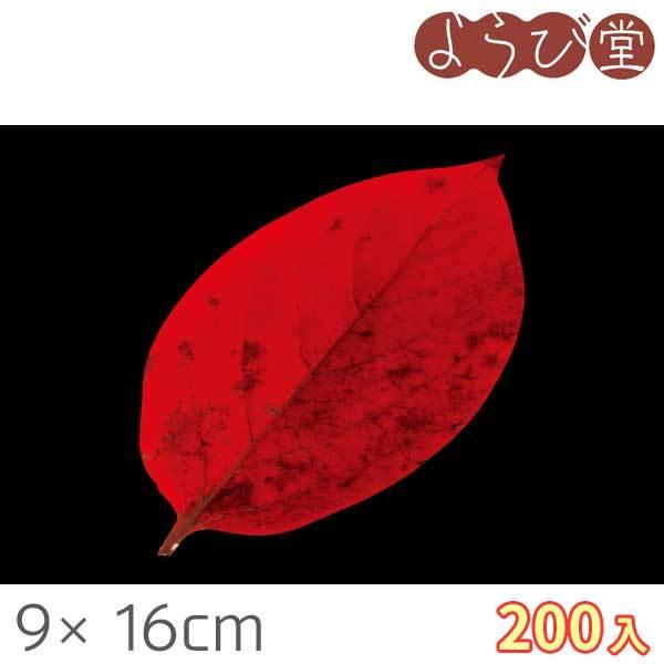 ^ NAV[g `̗t 200 9x16cm