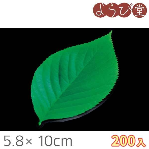 ^ NAV[g ~jE̗t 200 5.8x10cm