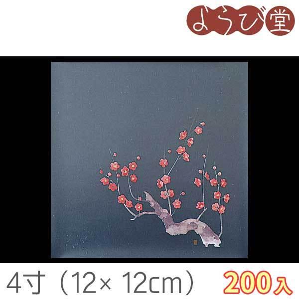 4 lGNAV[g ~i1`3j 200 12x12cm