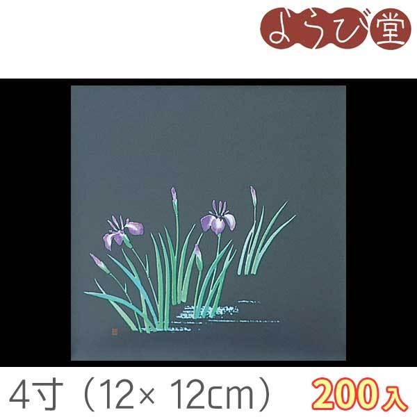 4 lGNAV[g Ҋi4`5j 200 12x12cm