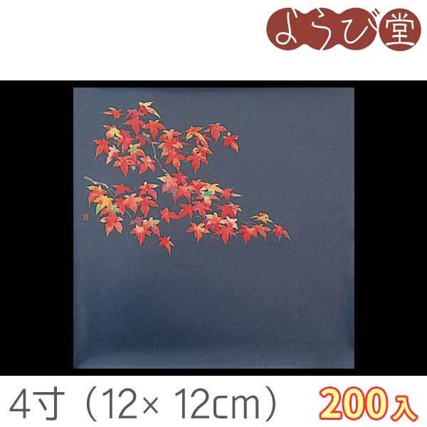 4 lGNAV[g gti10`11j 200 12x12cm