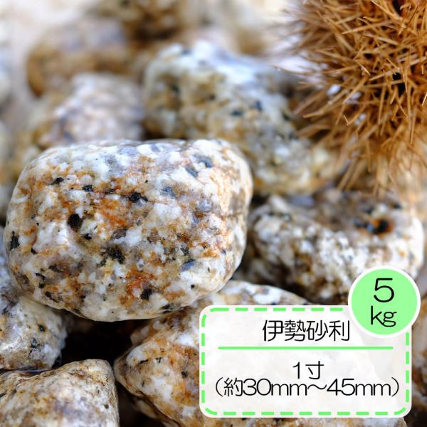 ԛ  KF ьe OdY VR ؒ 뉀 ɐP 3`4.5 5