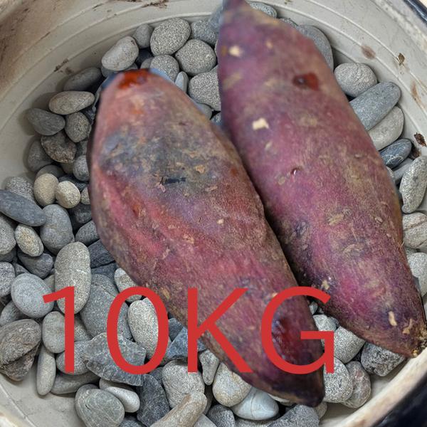 国産品 焼き芋の石  無塗装 ホクホク 石焼き芋 5分 約15ｍｍ 10kg