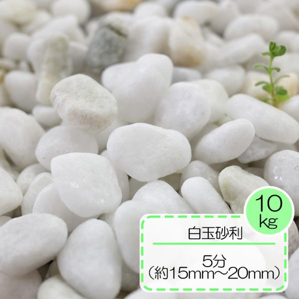   ʐ ʐ ʍ  K[fjO ~  ʍ 5 1.5`2 10kg