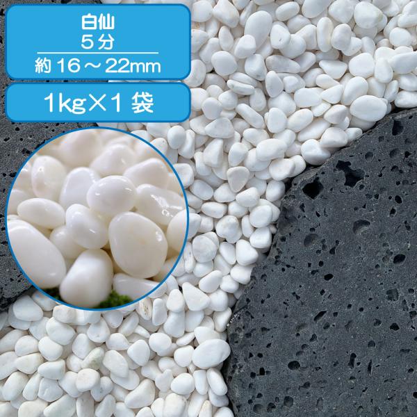 砂利 白 玉石 大理石の砂利 庭 ガーデニング 敷き砂利 白仙華砂利 5分 約16〜23mm 1kg