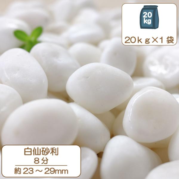   ʐ 嗝΂̍  K[fjO ~ 卻 8 2.3`2.9 20