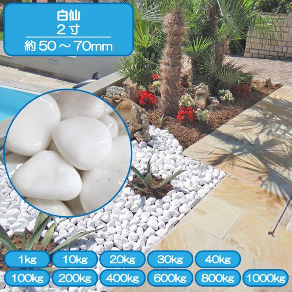 砂利 白 玉石 大理石の砂利 庭 ガーデニング 敷き砂利 白仙華