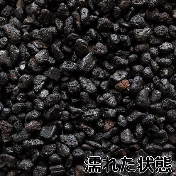 砂利黒溶岩砂利テラリウム水槽庭敷きガーデニング溶岩砂利ブラック3分 約9 12mm 3kg Buyee 日本代购平台 产品购物网站大全 Buyee一站式代购bot Online