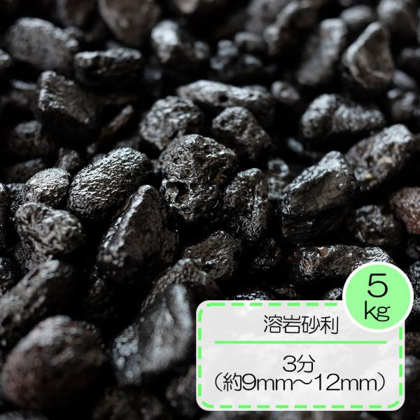 水槽 砂利 黒の人気商品・通販・価格比較 - 価格.com 水槽 砂利 黒の人気商品・通販・価格比較 - 価格.com