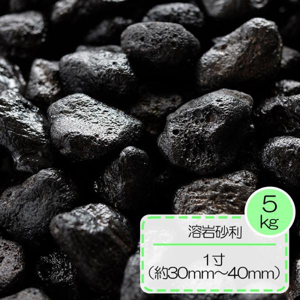 砂利 黒 溶岩 砂利 テラリウム水槽 庭 敷き ガーデニング 溶岩砂利 ブラック 1寸 約30〜40mm 5kg
