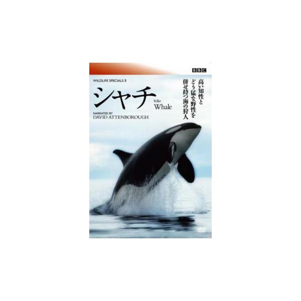 【バーゲン】(監督) 高橋孝太郎 (出演) デイビッド・アッテンボロー (ジャンル) 洋画 ドキュメンタリー 動物 (入荷日) 2024-04-26