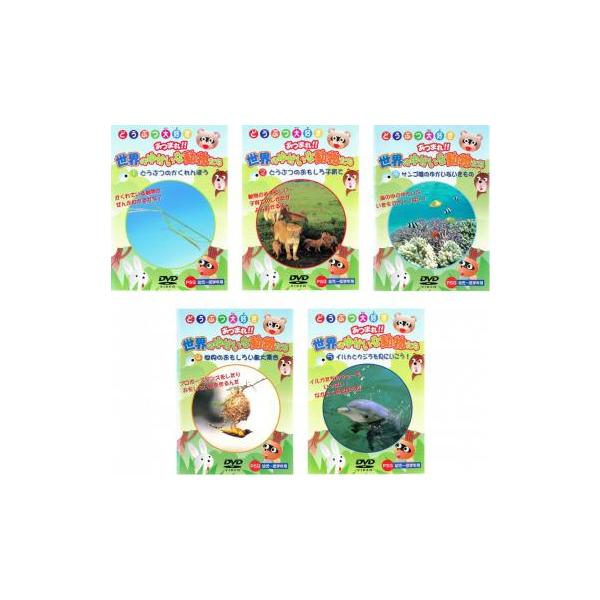 【中古】《ケースなし》どうぶつ大好き あつまれ!!世界のゆかいな動物たち どうぶつのかくれんぼう  b46109【レンタル専用DVD】