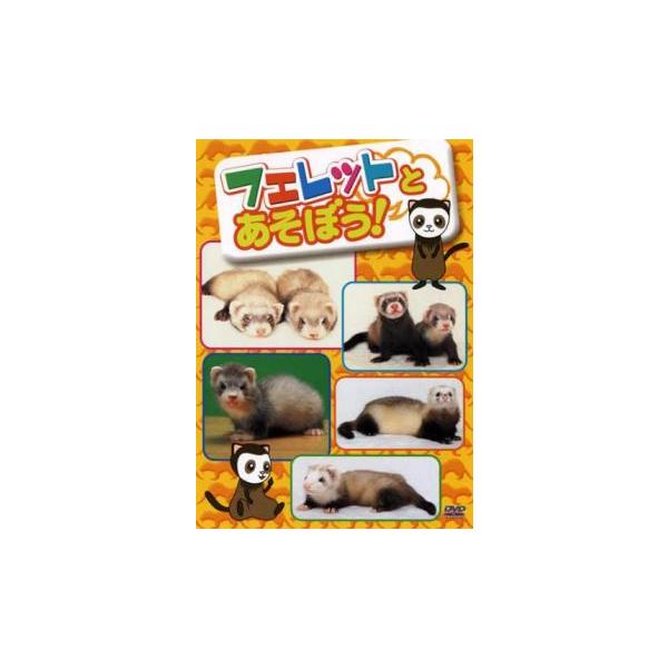 フェレットとあそぼう! レンタル落ち 中古 DVD