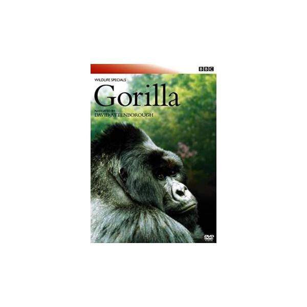 【バーゲン】 (ジャンル) その他、ドキュメンタリー 動物 (入荷日) 2025-07-05