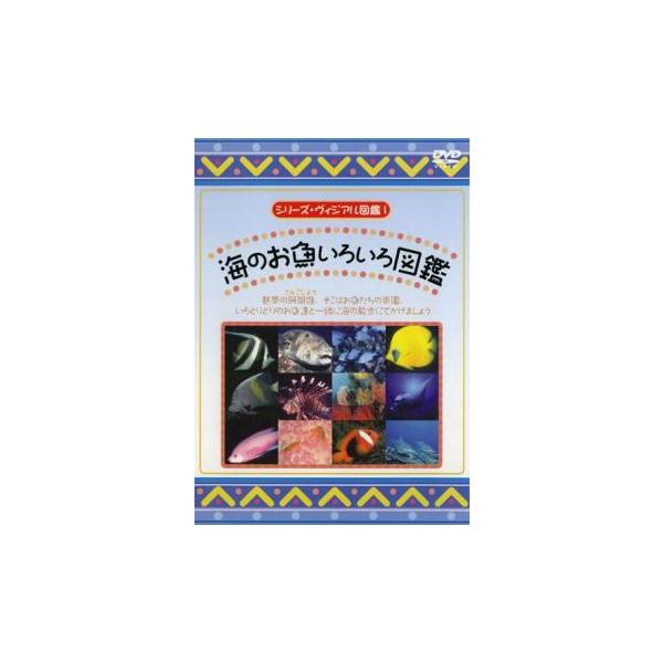 【バーゲン】 (ジャンル) 趣味、実用 動物 子供向け、教育 (入荷日) 2024-12-24