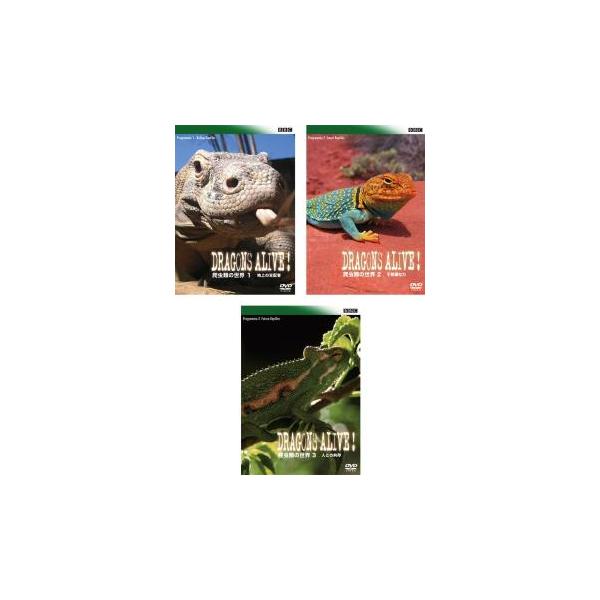 BBC 爬虫類の世界 1 地上の支配者【字幕】 レンタル落ち 中古 DVD