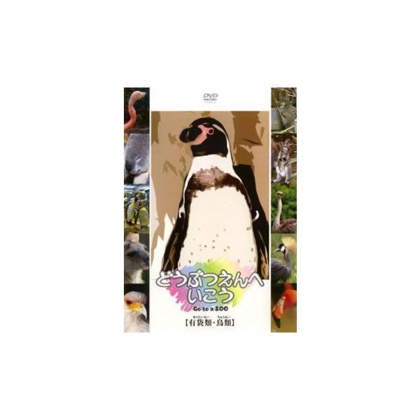 【バーゲン】 (ジャンル) 趣味、実用 子供向け、教育 動物 (入荷日) 2024-08-11