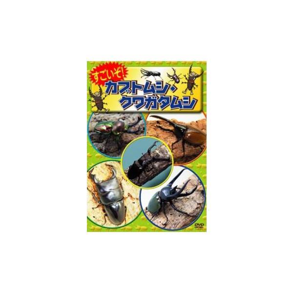 すごいぞ!カブトムシ クワガタムシ レンタル落ち 中古 DVD