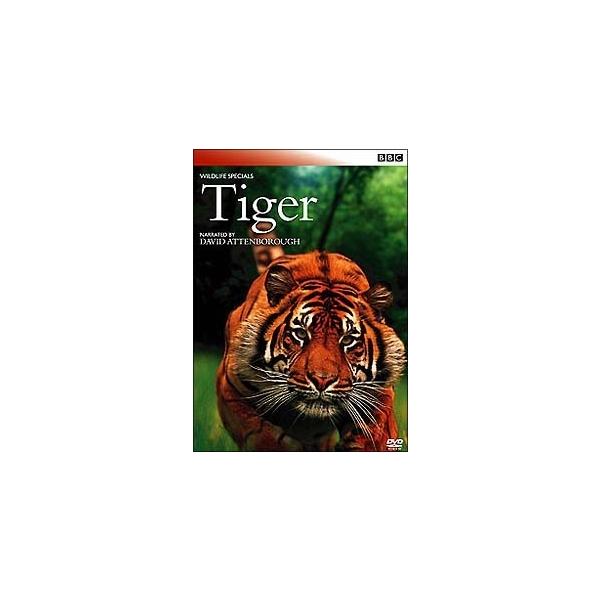 【中古】 BBC ワイルドライフ・スペシャル トラ 狩猟の覇者 [レンタル落ち] [DVD]