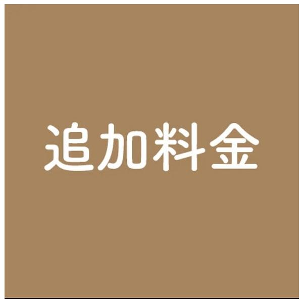 追加料金　差額専用リンク