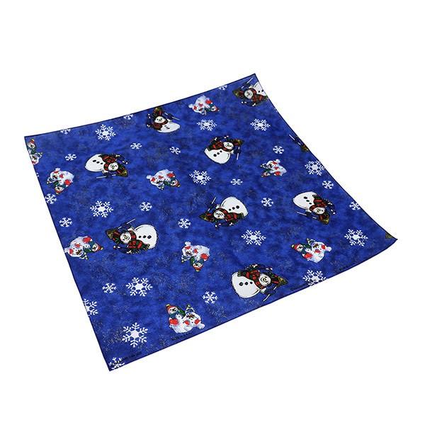 �o���_�i 55×55cm SHORE THING �T���^�N���[�X �Ⴞ��� �� ��