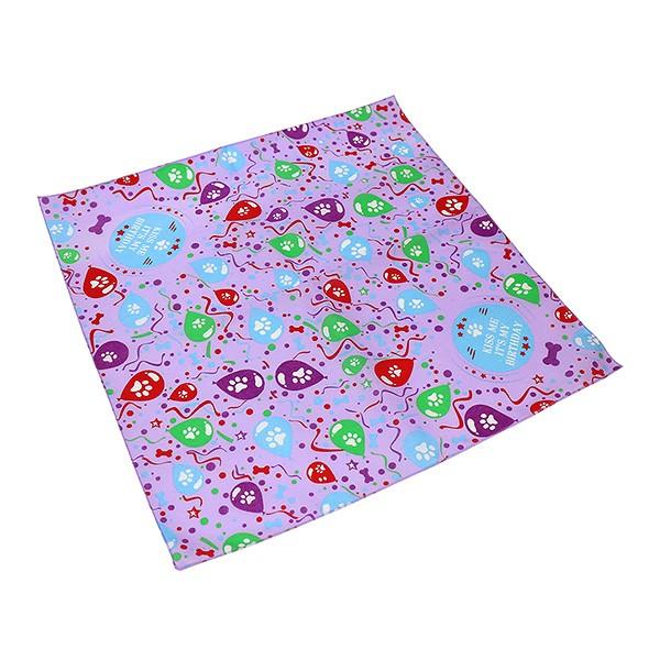 o_i 55×55cm BIRTHDAY DOG a  nJ` XJ[t