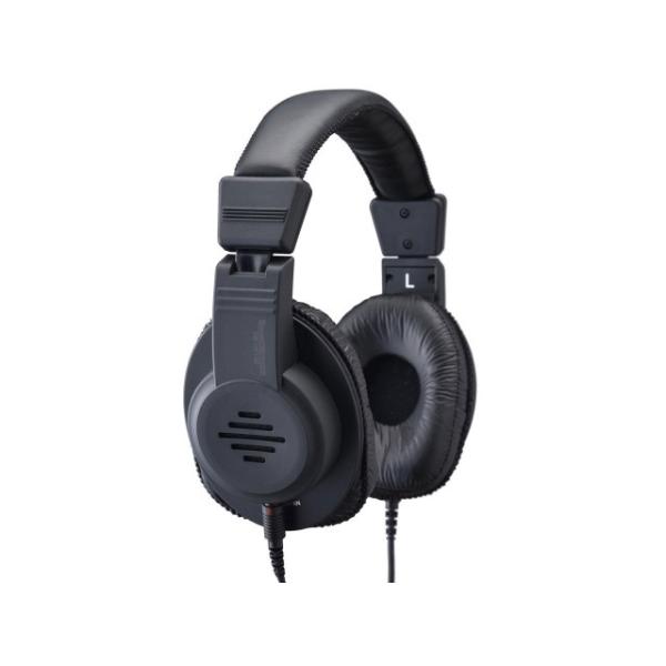 鉺H CzEwbhz SOUND WARRIOR SW-HP100