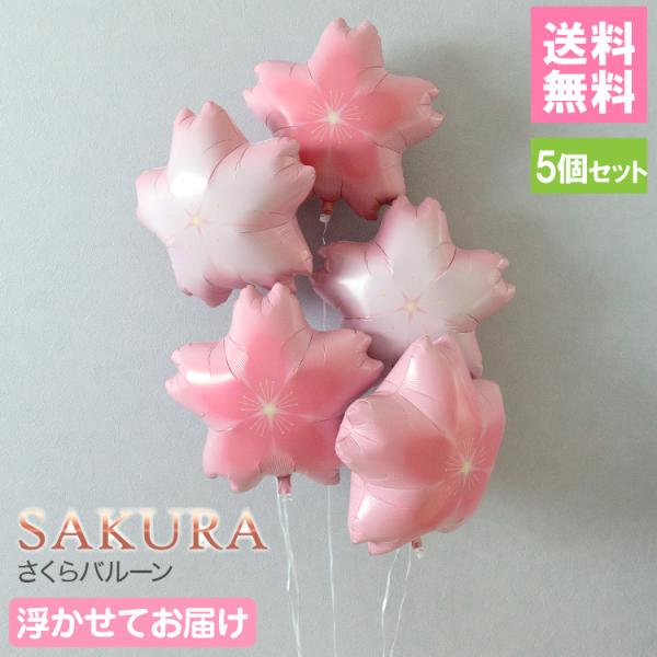  o[ 5 Ă͂  TN t sN Ǝ w Ӊ ̐ߋ s