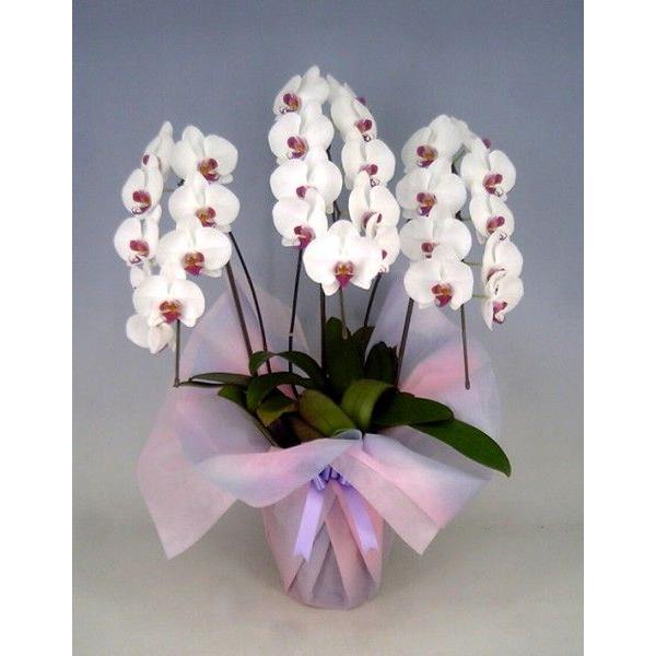 Ӓ@ԁiZ~Ao/bvj@R{@QWֈȏ@