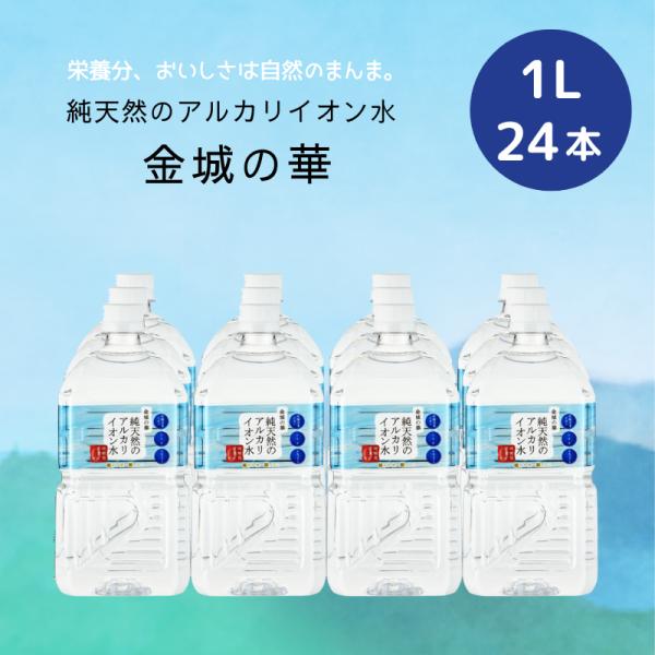 他サイト： 天然水 シリカ 純天然のアルカリイオン水 金城の華  1L×12本×2ケース[24本] 送料無料 非加熱 軟水 粉ミルク かなぎのはな ケイ・エフ・ジーの商品画像