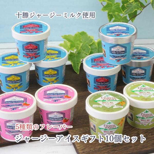 ジャージーブラウン アイスギフト 10個セット (フローズンヨーグルト＆アイスクリーム) 5種×各2個 送料無料 北海道帯広市 産地直送 十勝ジャージーミルク