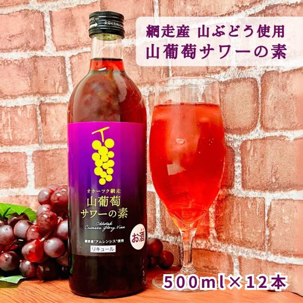 オホーツク網走 山葡萄サワーの素 500ml×12本 網走ビール リキュール お酒 カクテル  プレゼント お土産 北海道 ご当地 送料無料