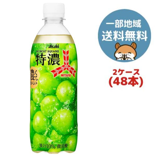 三ツ矢 アサヒ飲料 特濃マスカットスカッシュ 500ml 48本 (2ケース
