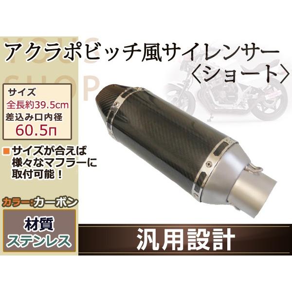 アクラポビッチ タイプ カーボン ショート サイレンサー Φ60.5π アクラポビッチ タイプ カーボン ショート サイレンサー Φ60.5π