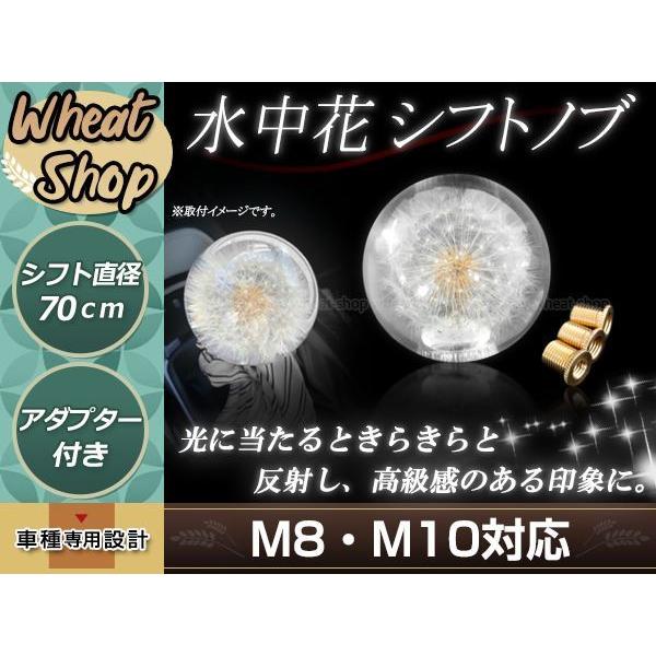 水中花 シフトノブ トラック 延長 変換 綿毛 植物 たんぽぽ タンポポ