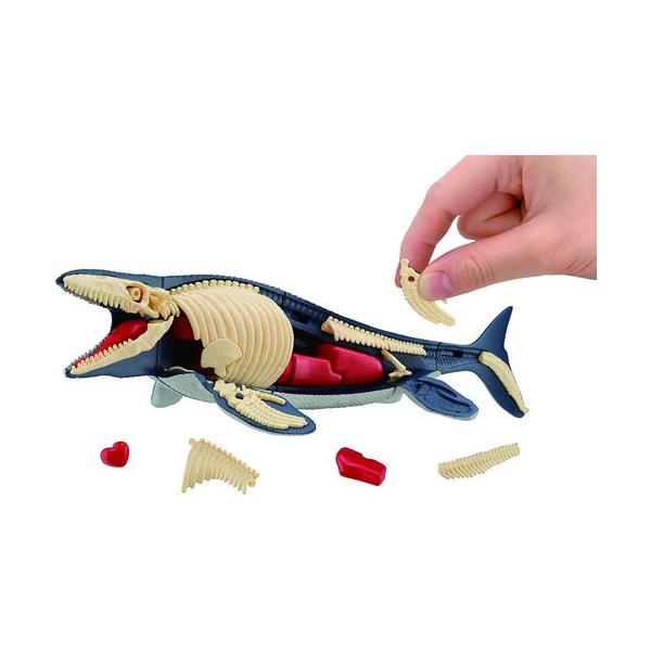 解体パズル・サイエンス モササウルス復元パズル 【骨 恐竜 化石 内蔵 動物 立体パズル 3Dパズル フィギュア 模型 人形 メガハウス】解体(かいたい)パズルにサイエンスシリーズが新登場！モササウルスを復元するパズルです。ばらばらの35パ...