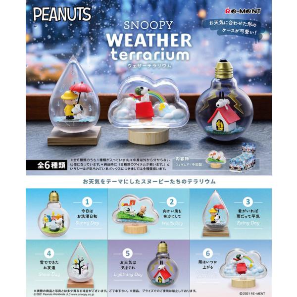 送料無料 リーメント スヌーピー SNOOPY WEATHER terrarium ウェザーテラリウム BOX 全6種セットフルコンプリートセット
