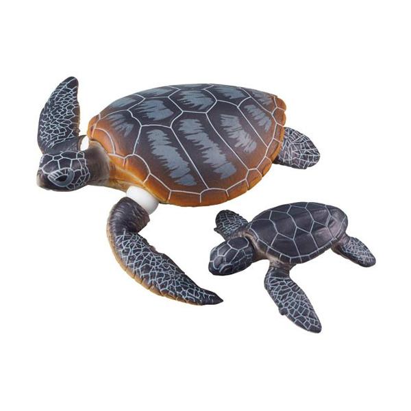 AjA AS-20 AIE~Keq ɕVer. 4904810137610