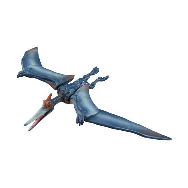 AjA WVbNE[h vemh 4904810175049