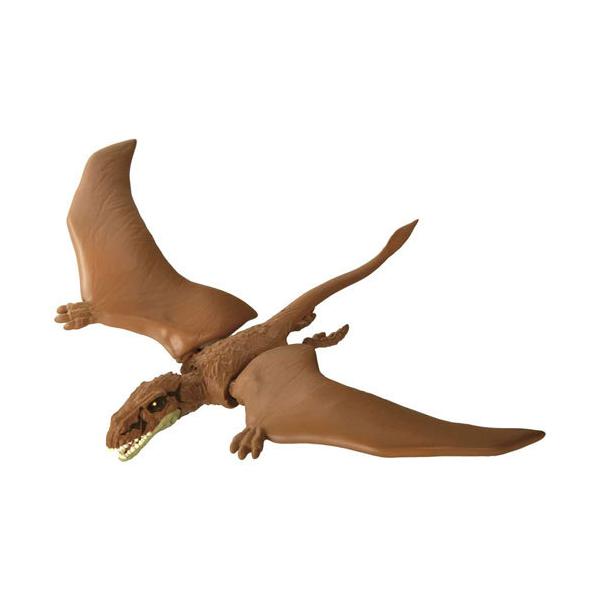 AjA WVbNE[h fBtHh 2021N 4904810179337