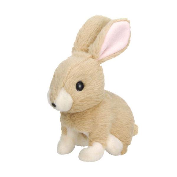  ݂݃p^p^ ~~B dʂ 4966510318317