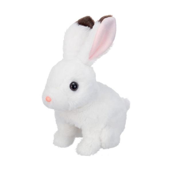  ݂݃p^p^ bL[ dʂ 4966510318324