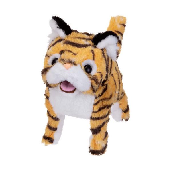  ςSJ KIKI^CK[ g dʂ 4966510325919