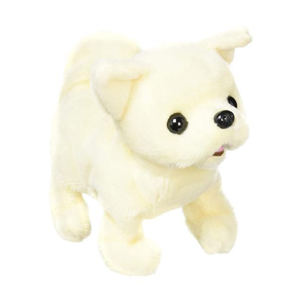 yousay-do_4966510330135