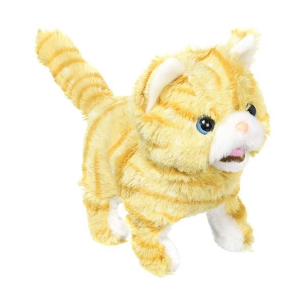  XReBbV dʂ 4966510330319