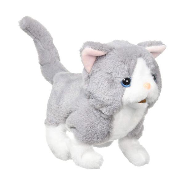  ueBbV dʂ 4966510330340