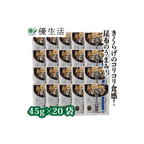 【送料無料】きくらげのコリコリ食感!昆布のうまみ!子供にも大人にも大人気の塩きくらげ昆布!コリコリっと食感のよいきくらげとうま味たっぷりの昆布をちょうど良いバランスで混ぜ合わせました。お茶漬けや、浅漬け、雑炊など簡単便利にお好みのお料理にご...