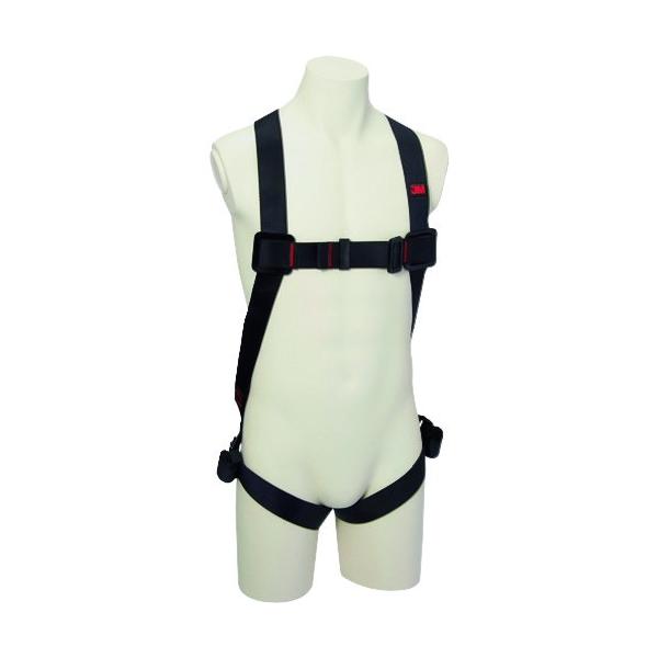 tn[lX^S VKiΉ X[G 3M veN^ tn[lXH^ 1161649N(M/LTCY) C{CXxΏۓKisƎ