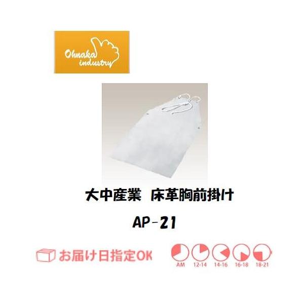 咆Y PvO| AP-21 C{CXxΏۓKisƎ